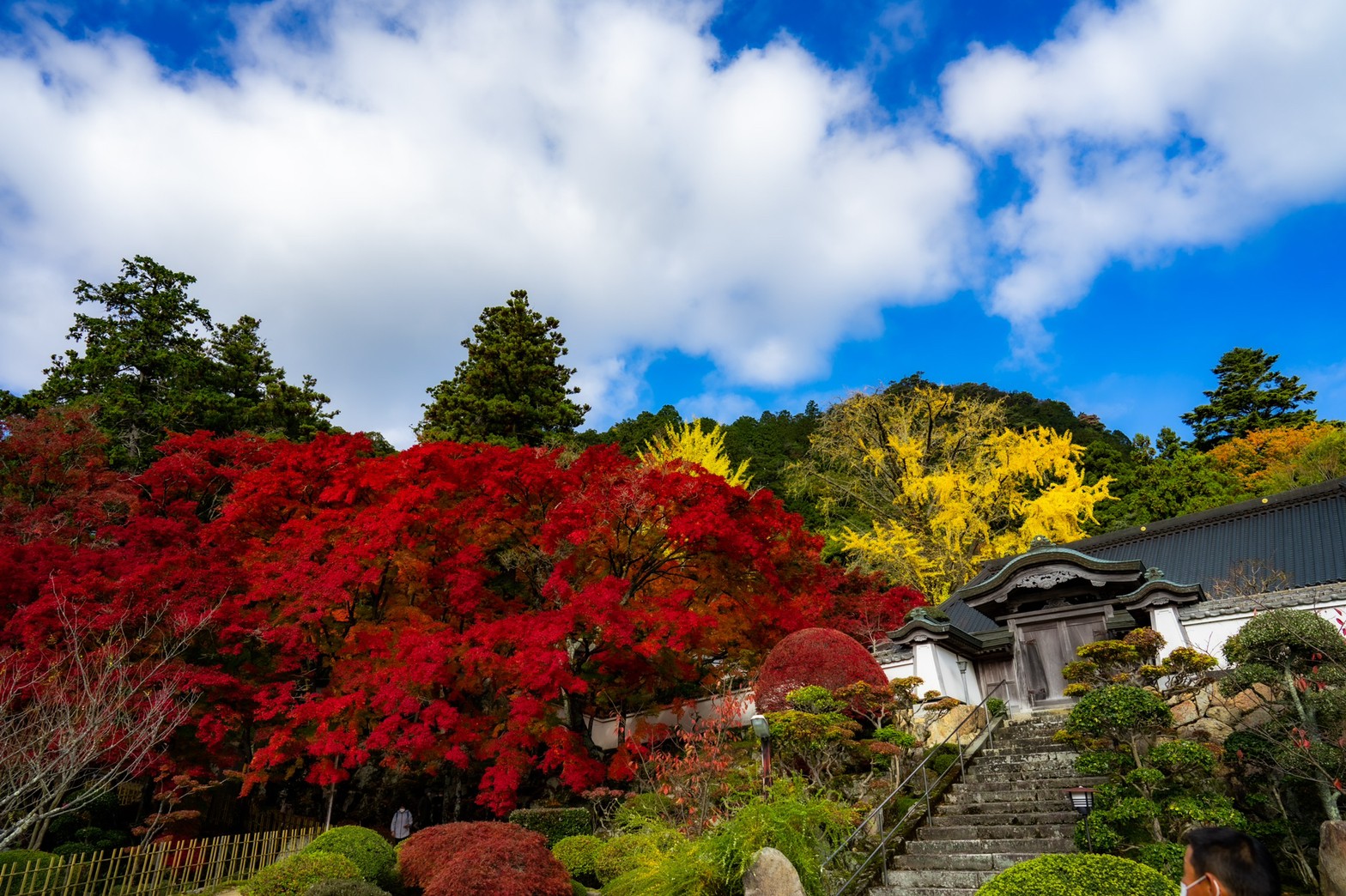 写真同好会の活動記録　「紅葉」